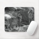 Cheetah Muismat (Met muis)