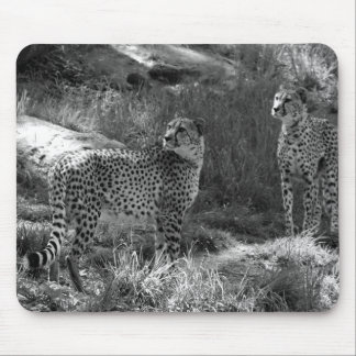 Cheetah Muismat