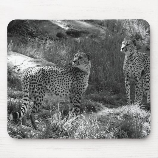 Cheetah Muismat (Voorkant)