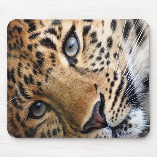 Cheetah Muismat (Voorkant)