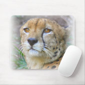 cheetah muismat (Met muis)