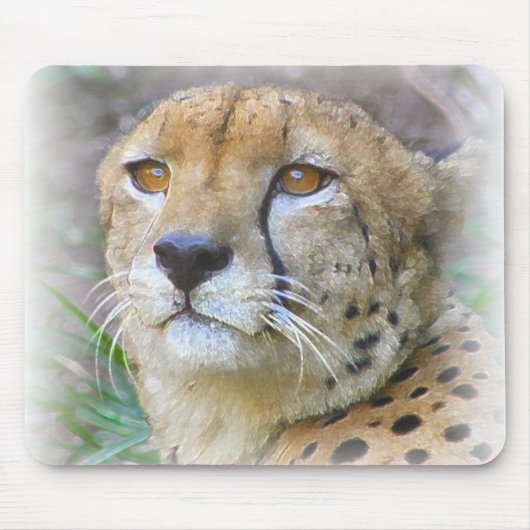 cheetah muismat (Voorkant)