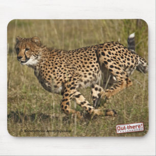 Cheetah Muismat