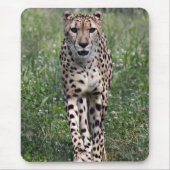 Cheetah-muispad Muismat (Voorkant)