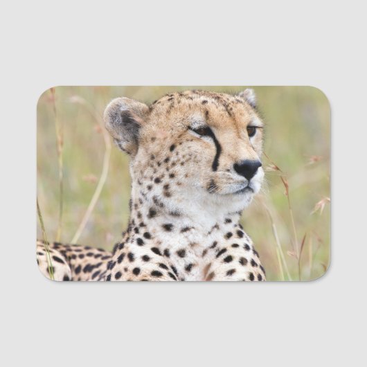 Cheetah Naamplaatje (Voorkant)