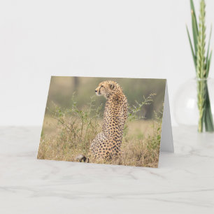 Cheetah Natural Setting Personalize Text Signature Kaart