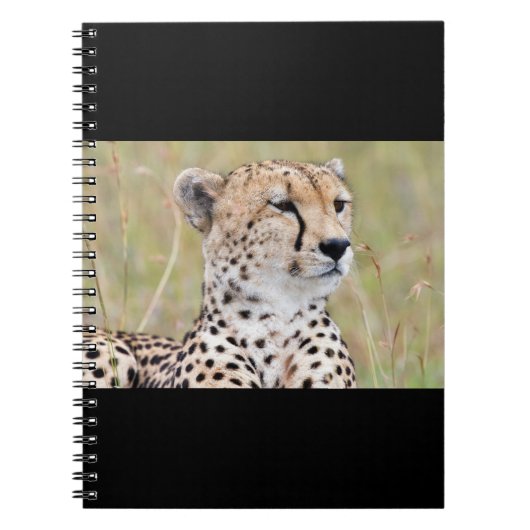 Cheetah Notitieboek (Voorkant)
