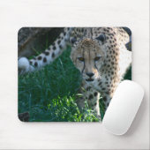 Cheetah op de Hunt Muismat (Met muis)