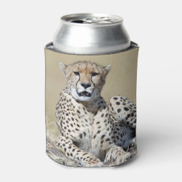 Cheetah op de Masai Mara in Kenia foto Blikjeskoeler