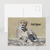 Cheetah op de Masai Mara in Kenia foto Briefkaart (Voorkant / Achterkant)