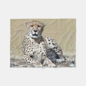Cheetah op de Masai Mara in Kenia foto Fleece Deken (Voorkant (Horizontaal))