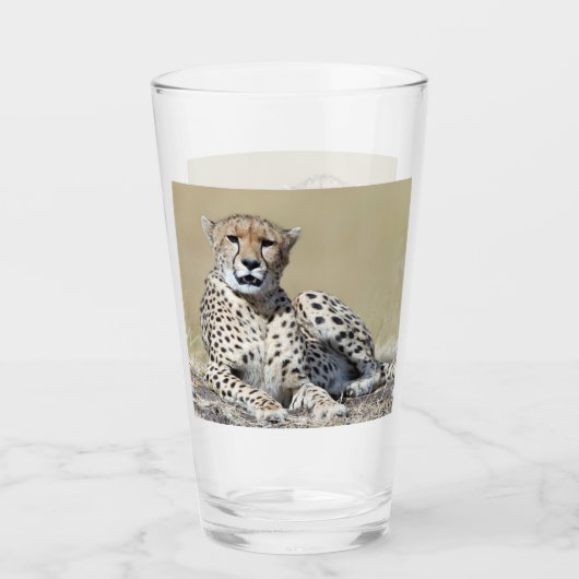 Cheetah op de Masai Mara in Kenia foto Glas (Voorkant)