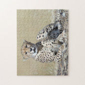 Cheetah op de Masai Mara in Kenia foto Legpuzzel (Verticaal)