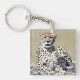 Cheetah op de Masai Mara in Kenia foto Sleutelhanger