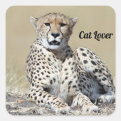 Cheetah op de Masai Mara in Kenia foto Vierkante Sticker (Voorkant)
