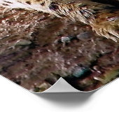 Cheetah op een rots poster (Hoek)