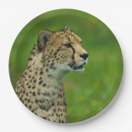 Cheetah op een uitkijkplaats papieren bordje