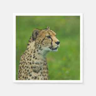 Cheetah op een uitkijkplaats servet