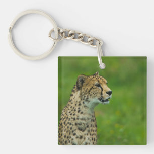Cheetah op een uitkijkplaats sleutelhanger
