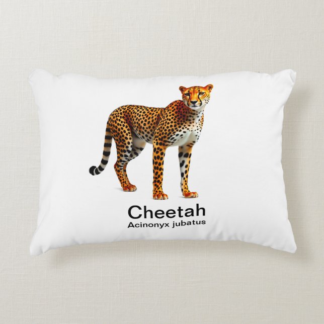 Cheetah op een witte achtergrond accent kussen (Voorkant)