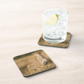 Cheetah op kleine heuvel voor betere zichtbaarheid drankjes onderzetter (Rechterzijde)