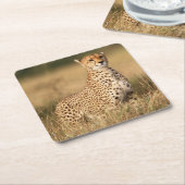 Cheetah op kleine heuvel voor betere zichtbaarheid kartonnen onderzetters (Schuin)