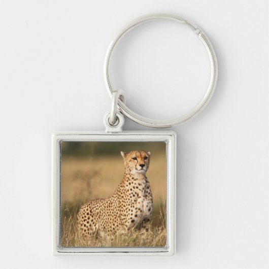 Cheetah op kleine heuvel voor betere zichtbaarheid sleutelhanger (Voorkant)