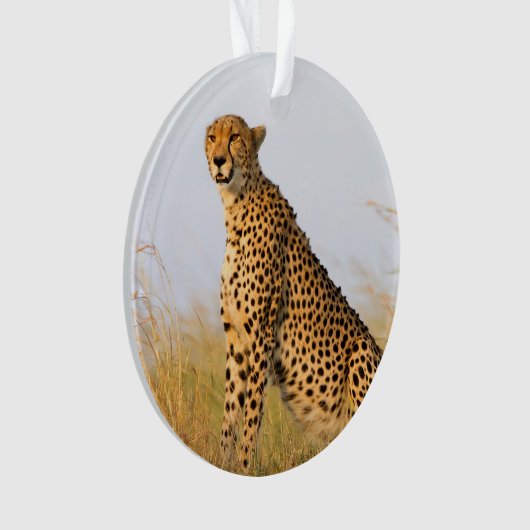 Cheetah Ornament (voorkant)