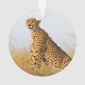 Cheetah Ornament (achterkant)