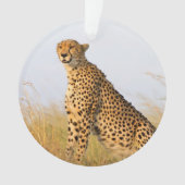 Cheetah Ornament (voorkant)