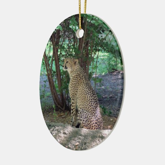 Cheetah Ornament ~ Endangered Species Series (Links)