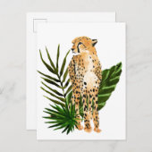 Cheetah Outlook Briefkaart (Voorkant / Achterkant)