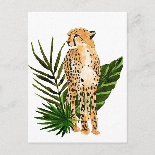 Cheetah Outlook Briefkaart (Voorkant)