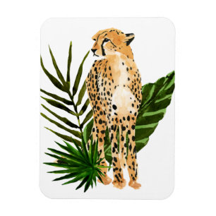 Cheetah Outlook Magneet