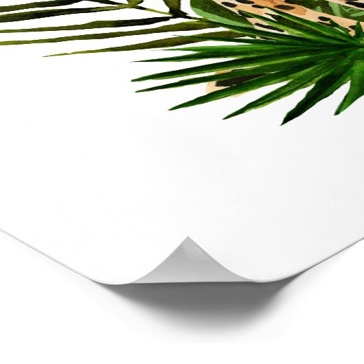 Cheetah Outlook Poster (Hoek)