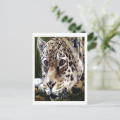 Cheetah Painting Briefkaart (Staand voorkant)