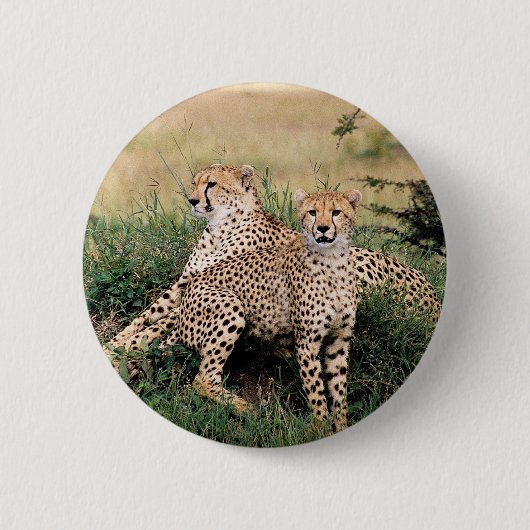 Cheetah Pair Ronde Button 5,7 Cm (Voorkant)
