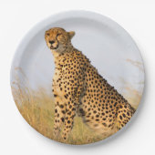 Cheetah Papieren Bordje (Voorkant)
