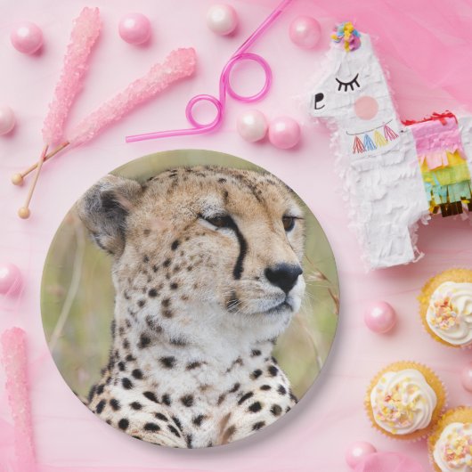 Cheetah Papieren Bordje (Feest)