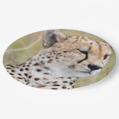 Cheetah Papieren Bordje (Gekanteld)