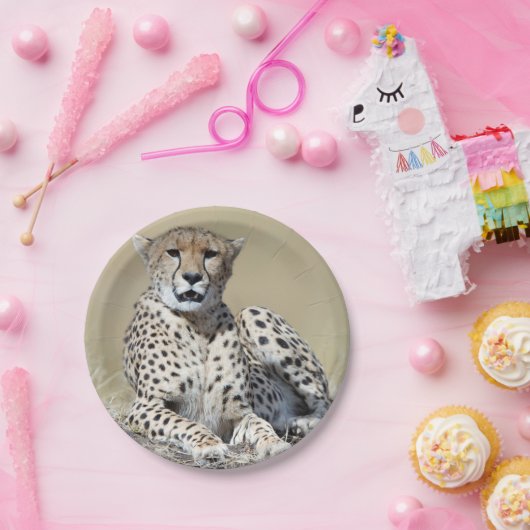 Cheetah Papieren Bordje (Feest)