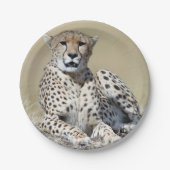 Cheetah Papieren Bordje (Voorkant)