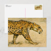 Cheetah  pasteltekening briefkaart (Voorkant / Achterkant)