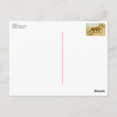 Cheetah  pasteltekening briefkaart (Achterkant)