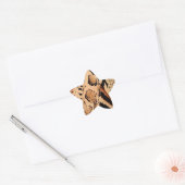 Cheetah Pattern Ster Sticker (Envelop)