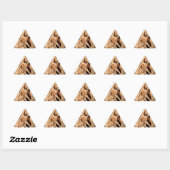 Cheetah Pattern Sticker (Vel)
