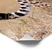 Cheetah Perfect Poster (Hoek)