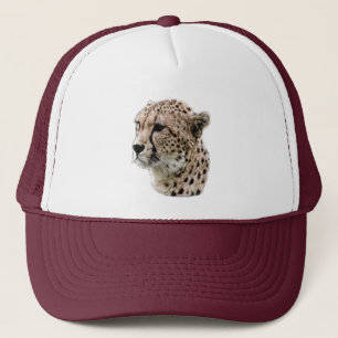 CHEETAH PET