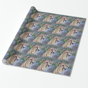 Cheetah Photo Cadeaupapier