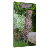 Cheetah Photo Clipboard Klembord (Rechts)